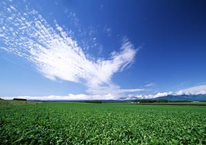 静岡市清水区の家族葬・家族向け葬儀場【富士葬祭 双樹】の特徴とアクセス情報