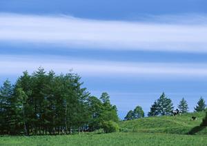 静岡県浜松市の家族葬に最適な葬儀場【家族葬のタクセル葵西】 2022年開業、低価格・完全貸切の安心サービス